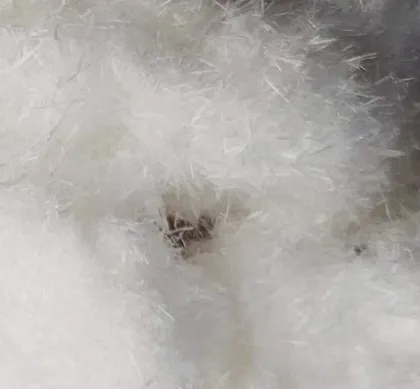 Benzotriazole Benzotriazole